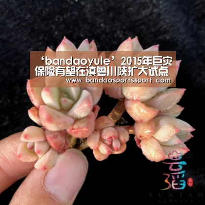 ‘bandaoyule’2015年巨灾保险有望在滇粤川陕扩大试点(图2) 半岛娱乐官方网站