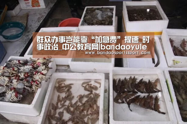 群众办事岂能靠“加急费”提速_时事政治_中公教育网|bandaoyule