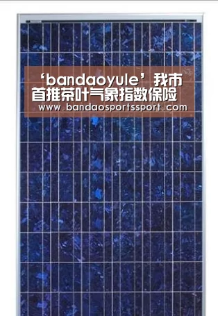 ‘bandaoyule’我市首推茶叶气象指数保险为山区千亩茶园撑起“保护伞”
